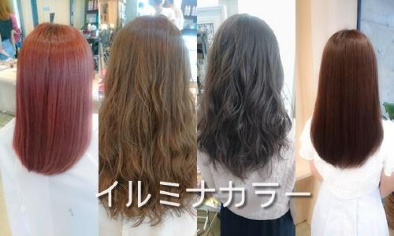 U Realmで大人気のイルミナカラーの仕上がりの紹介 銀座 美容院 美容室 U Realm Ginza ユーレルムギンザ ブログ一覧 Id 121 U Realmで大人気のイルミナカラーの仕上がりの紹介 銀座 美容院 美容室 U Realm Ginza ユーレルムギンザ ブログ一覧 Id 121